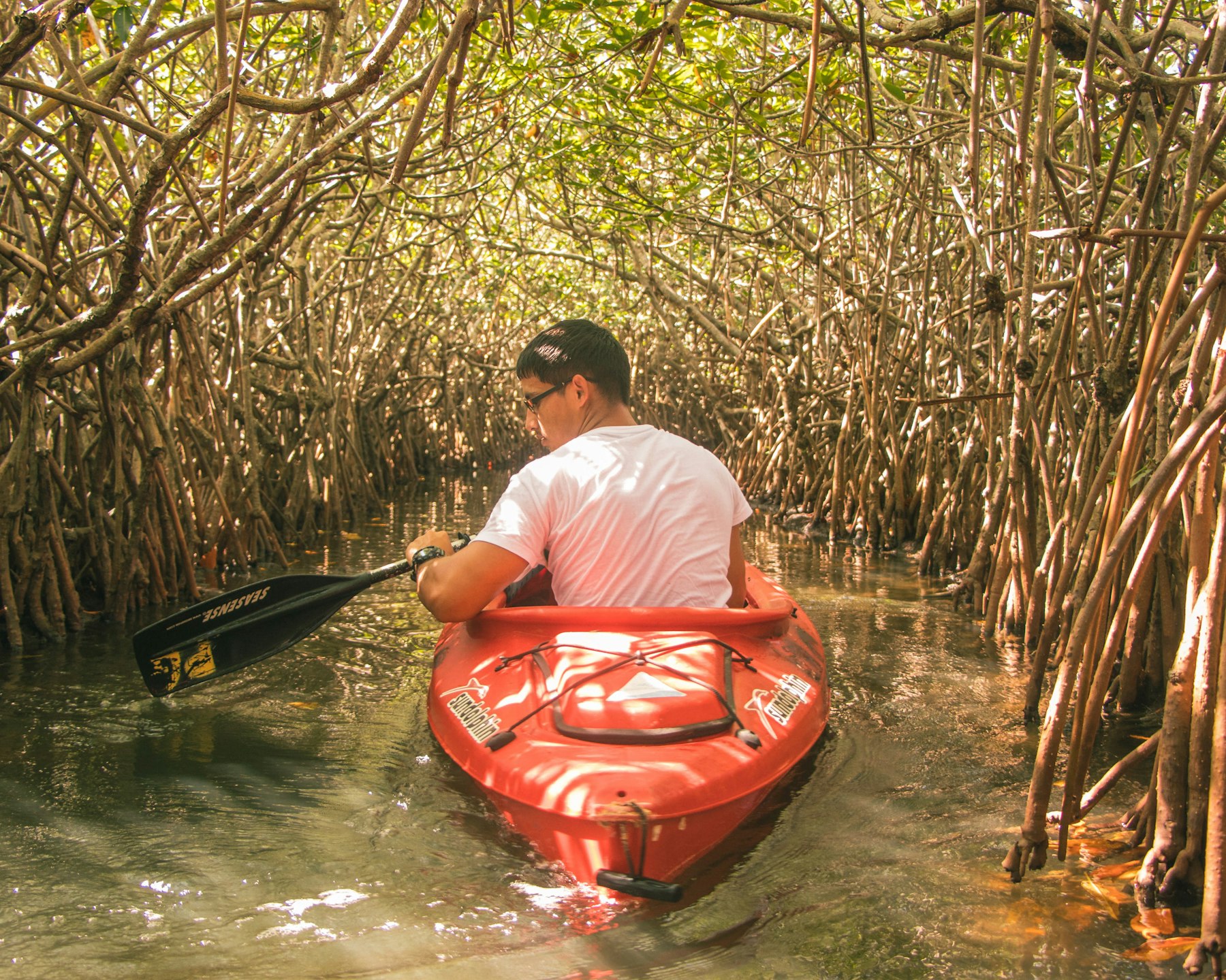 Paddling the mangrove channels